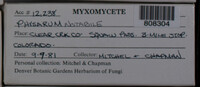 Image Associated With the Occurence